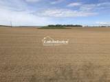 elad� telek - Als�p�hok